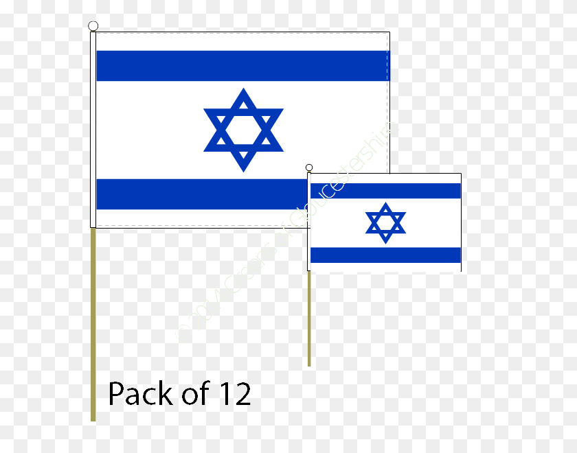 600x600 Buy Israel Hand Waving Flags - Israel Flag PNG