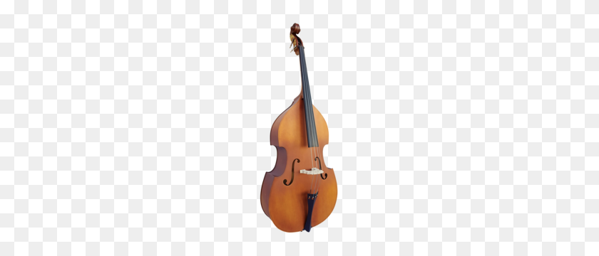300x300 Compre Instrumentos De Cuerda En Línea O En La Tienda Simplemente Para Cuerdas - Viola Png