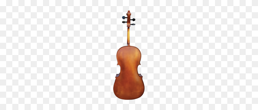300x300 Buy String Instruments Online Or In Store Simply For Strings - Cello PNG