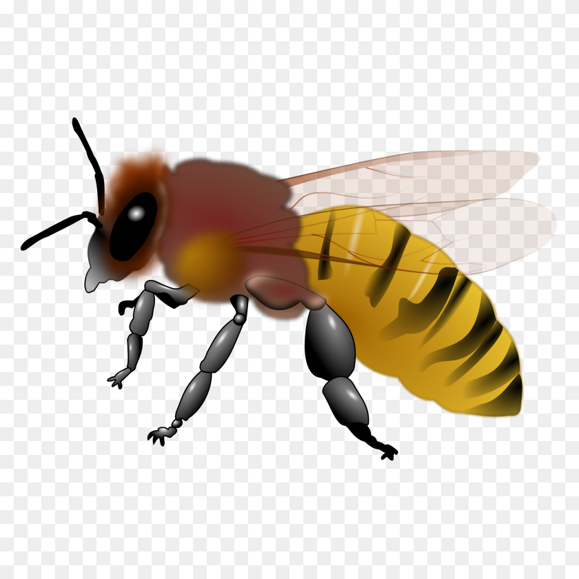 2400x2400 Buzzing Bee Clipart Piano Clip Art Free - Buzzing Bee Clipart