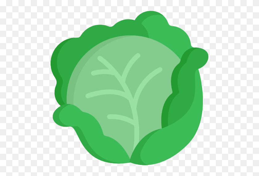 512x512 Cabbage - Cabbage PNG