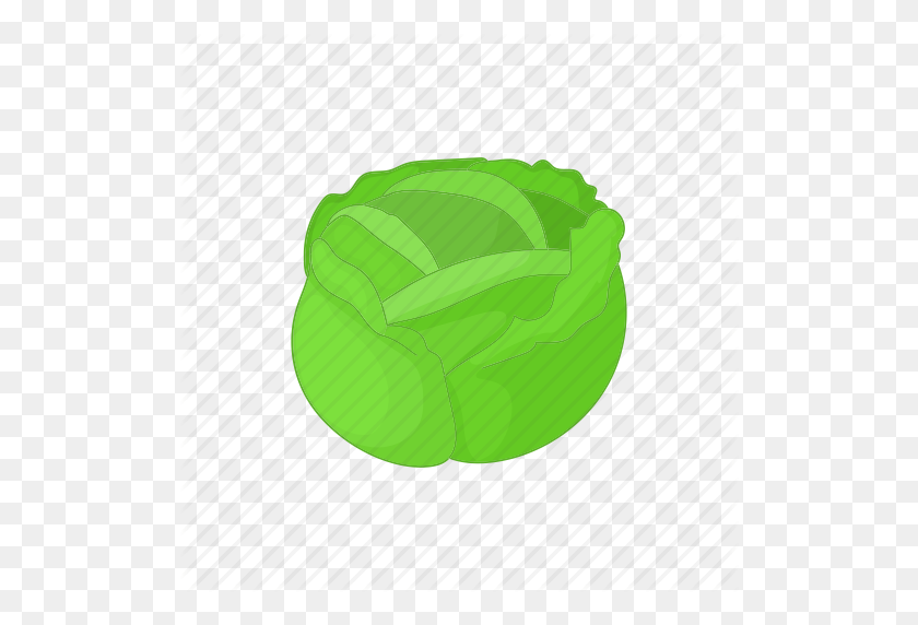 512x512 Cabbage, Cartoon, Food, Fresh, Healthy, Organic, Vegetable Icon - Cabbage PNG