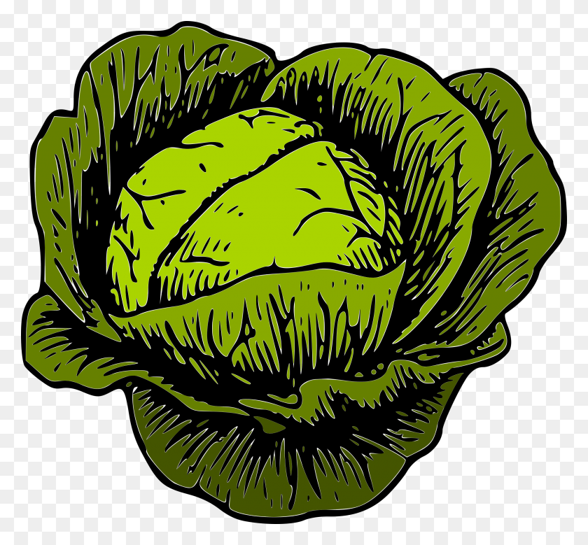 2400x2214 Cabbage Clipart - Marijuana Plant Clipart