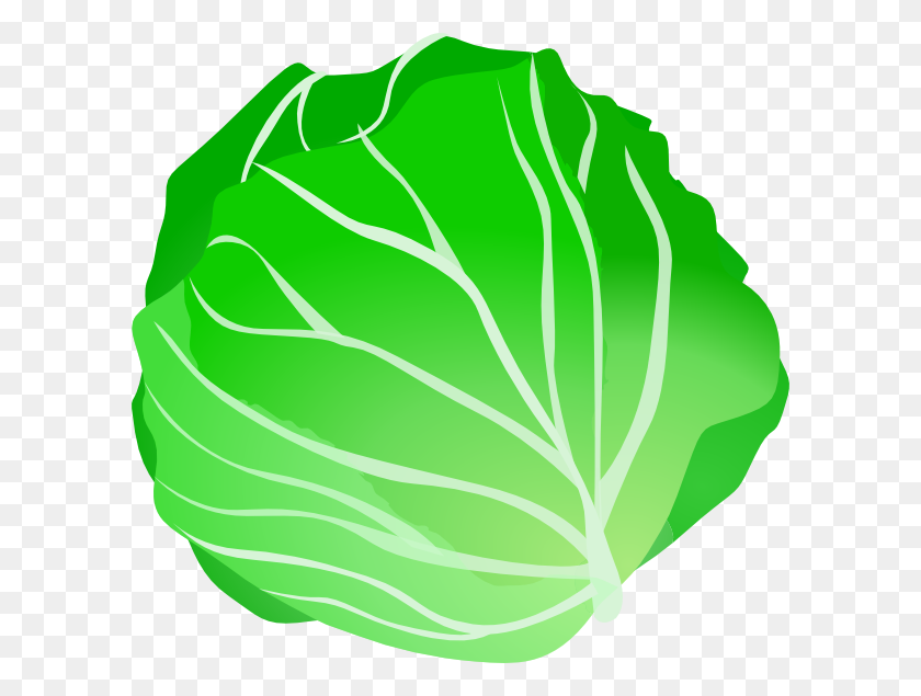 600x575 Cabbage Clipart Clip Art Images - Artichoke Clipart
