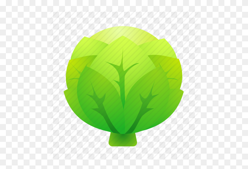 512x512 Cabbage, Food, Green, Health, Organic Icon - Cabbage PNG