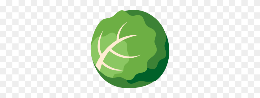 256x256 Cabbage Icon Myiconfinder - Cabbage PNG
