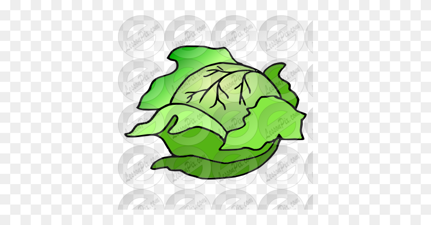 380x380 Cabbage Picture For Classroom Therapy Use - Cabbage PNG
