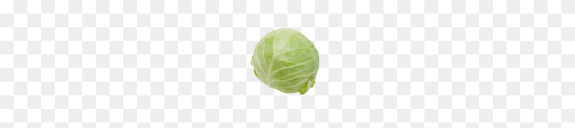 192x128 Cabbage Png Free Image Download - Cabbage PNG