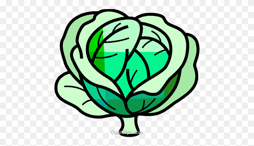 480x424 Cabbage Royalty Free Vector Clip Art Illustration - Cabbage Clipart