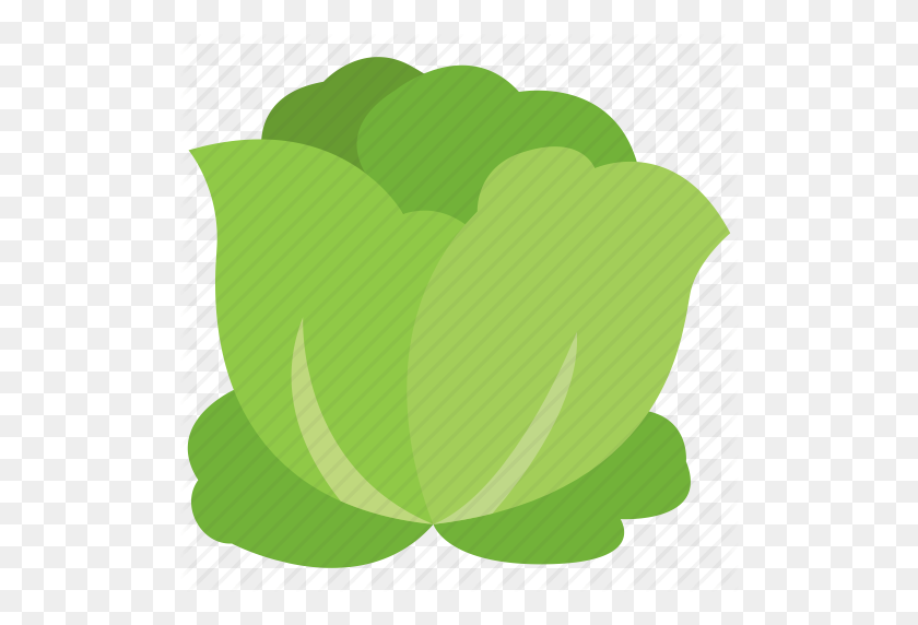 512x512 Cabbage, Salad, Vegetable Icon - Cabbage PNG