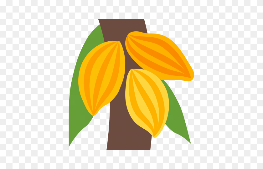 480x480 Cacao Png - Cacao PNG