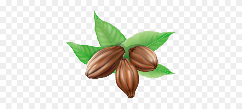 400x320 Cacao Png Dlpng - Cacao Png