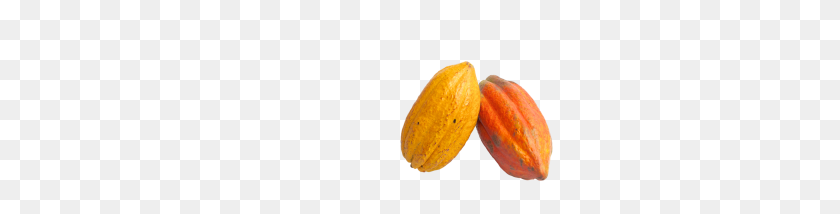 280x154 Cacao Png Imagen - Cacao Png