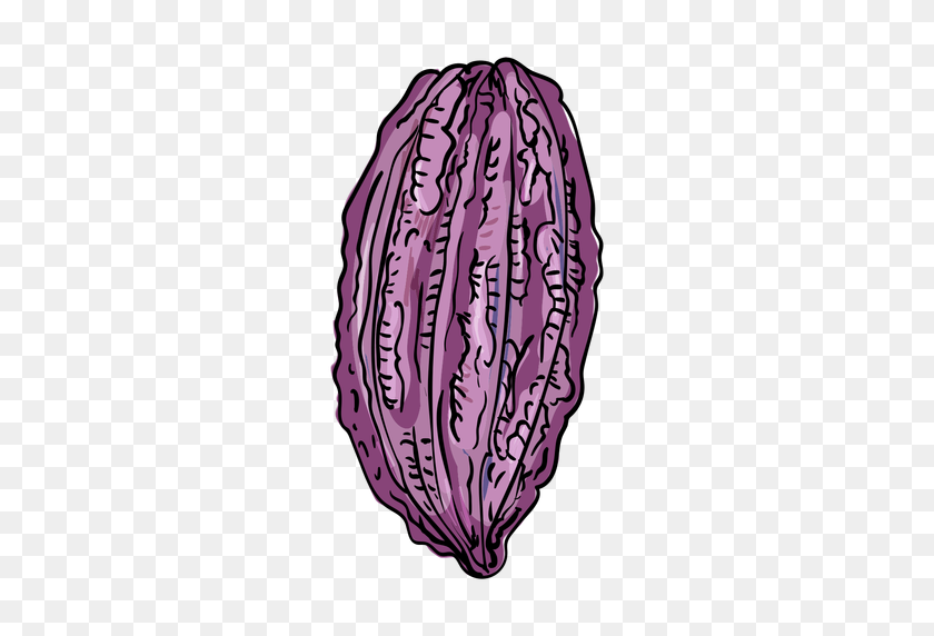 512x512 Cacao Pod Illustration - Cacao PNG