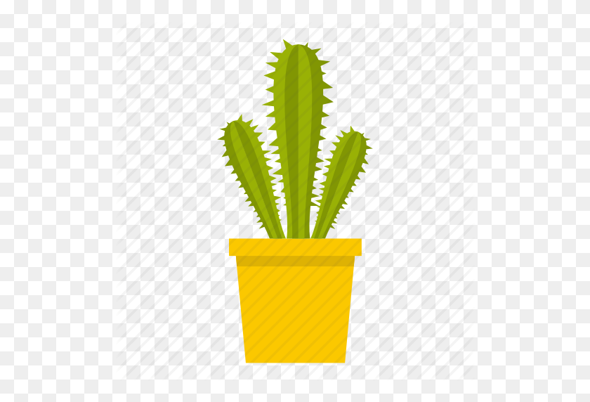 512x512 Cacti, Cactus, Desert, Mexican, Nature, Plant, Succulent Icon - Cactus PNG