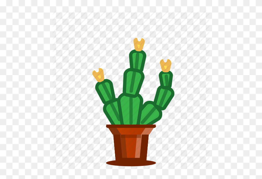 512x512 Cacti, Cactus, Flowering, Plants, Potted Plant, Succulent, Trees Icon - Succulents PNG