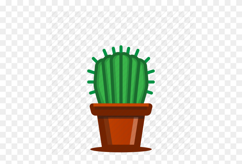 512x512 Cacti, Cactus, Plants, Potted Plant, Succulent, Trees Icon - Succulents PNG