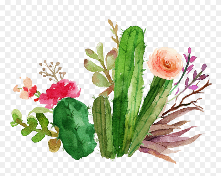 1550x1217 Cacti Cactus Succulent Flower Floral Watercolor Color - Watercolor Cactus PNG