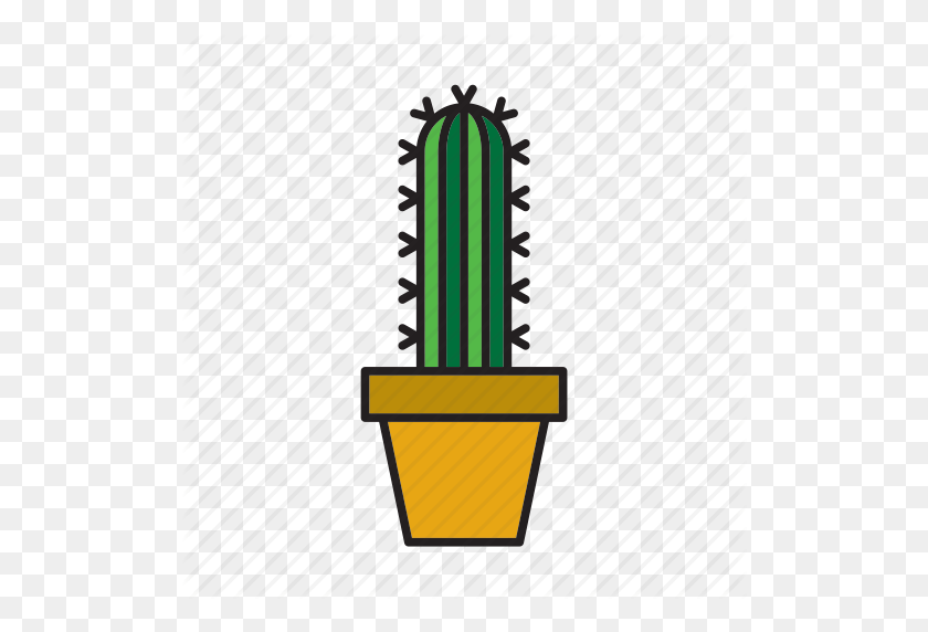 512x512 Cactus' - Cacti PNG