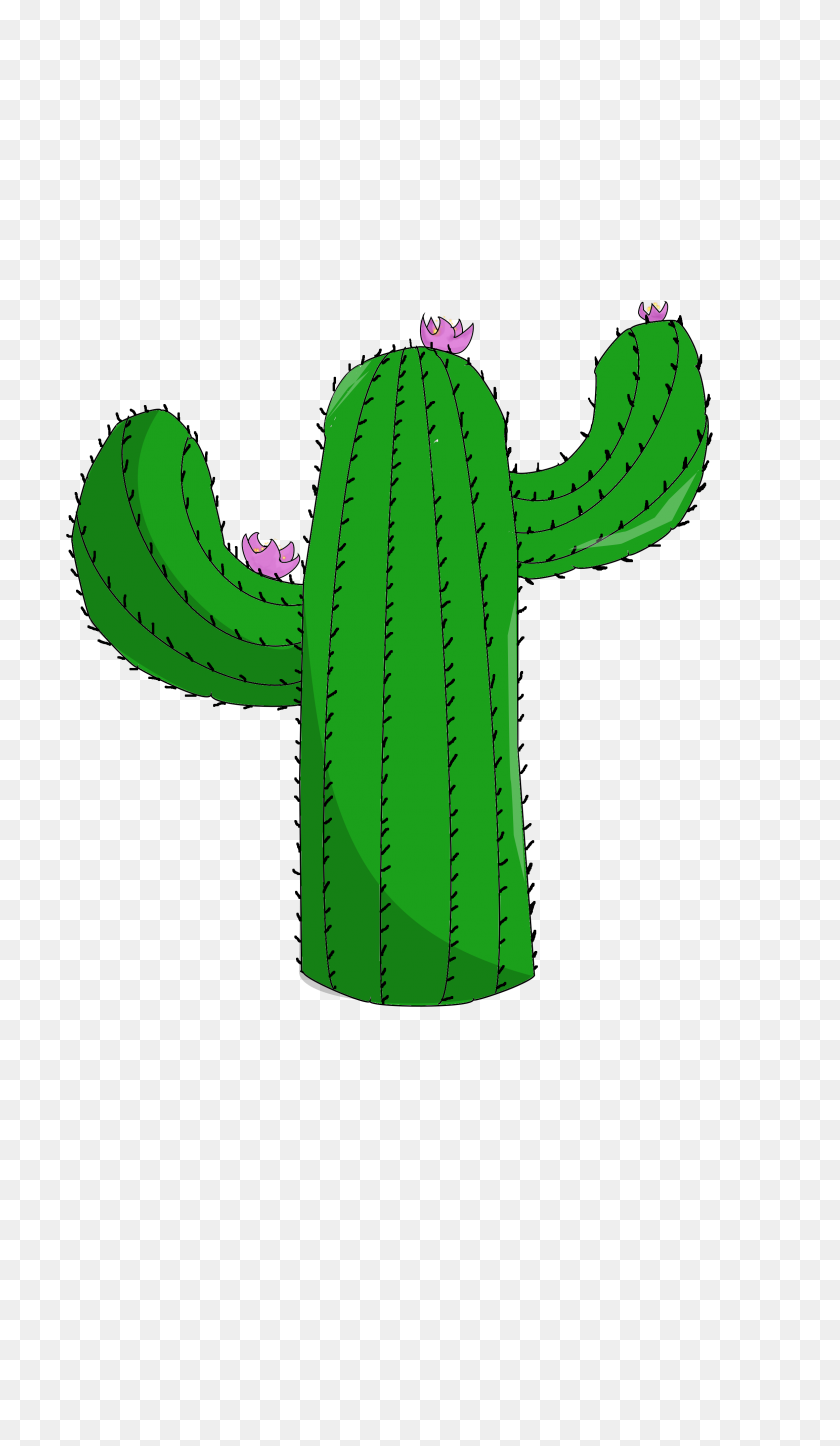 2322x4128 Cactus - Cacti PNG