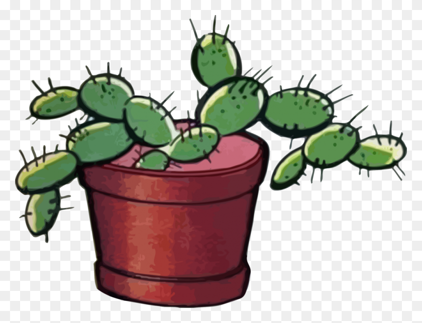 1001x750 Cactus Barbary Fig Thorns, Spines, And Prickles Computer Icons - Prickly Pear Cactus Clipart