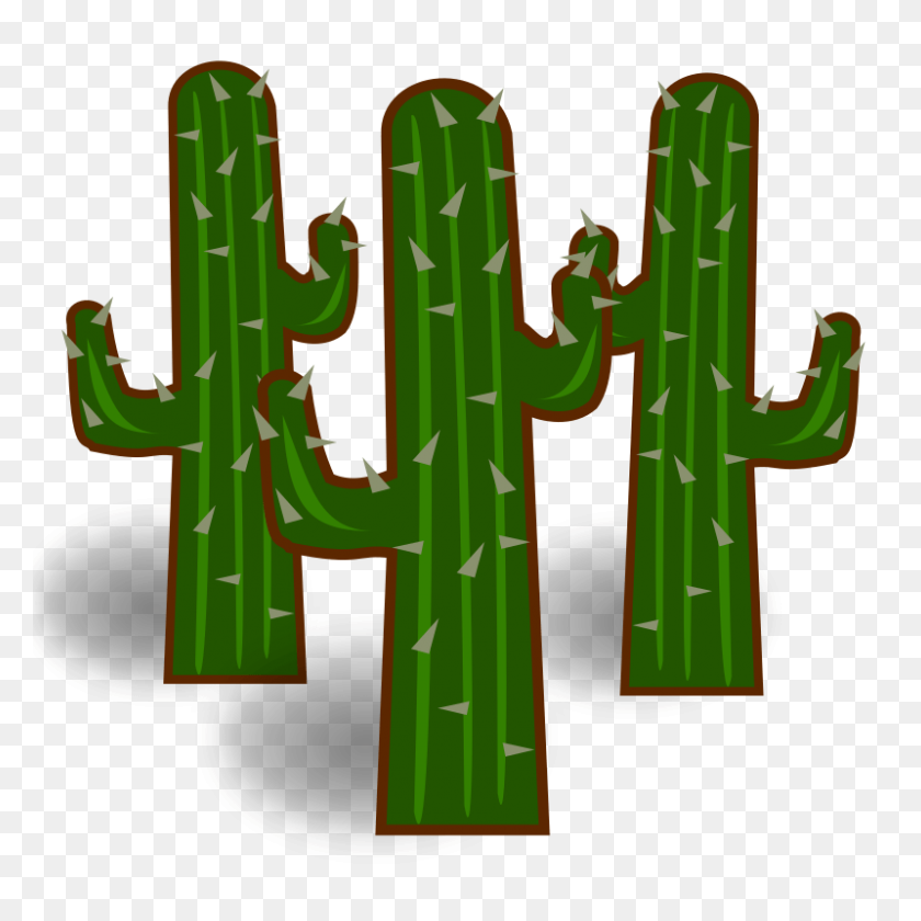 800x800 Cactus Clipart Transparente - Cactus Flor Clipart