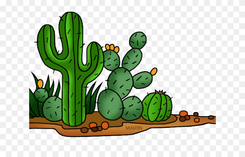 640x480 Cactus Clipart Man - Cactus PNG Clipart