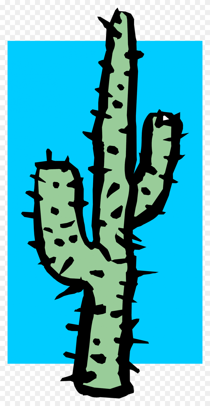 958x1916 Cactus Free Stock Photo Illustration Of A Tall Cactus - Cactus PNG Clipart