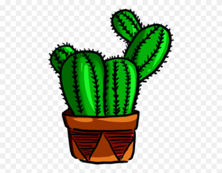 480x595 Cactus, Green, Plant Png - Cactus PNG Clipart