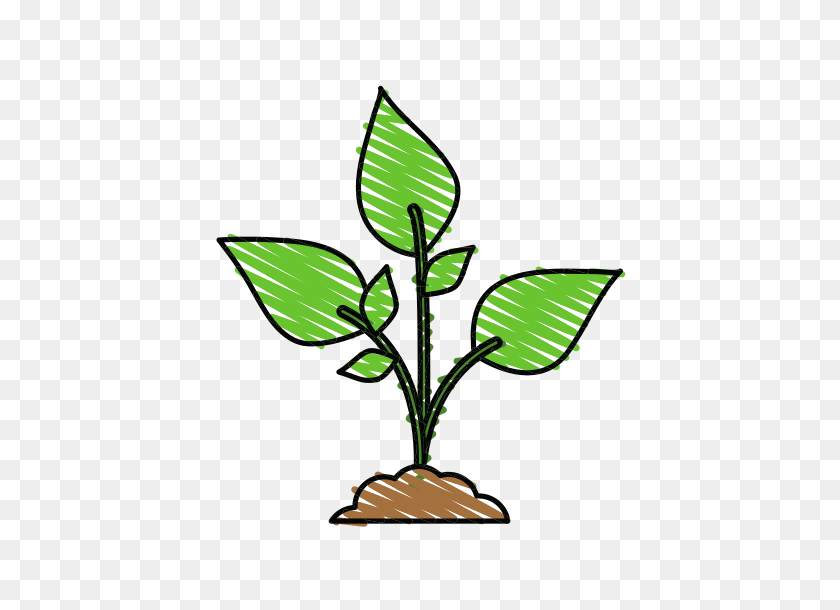 550x550 Cactus In Pot Plants Clip Art - Hollyhock Clipart