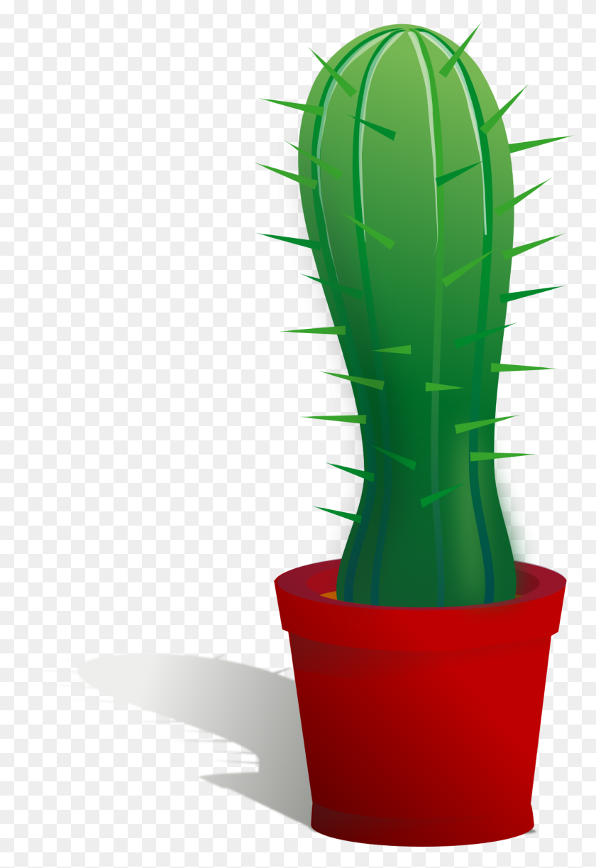 1331x1983 Planta De Cactus En Maceta - Flor En Una Maceta Clipart