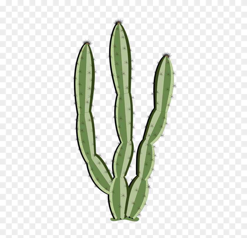 750x750 Cactus Succulent Plant Saguaro Schlumbergera Drawing Free - Watercolor Cactus PNG