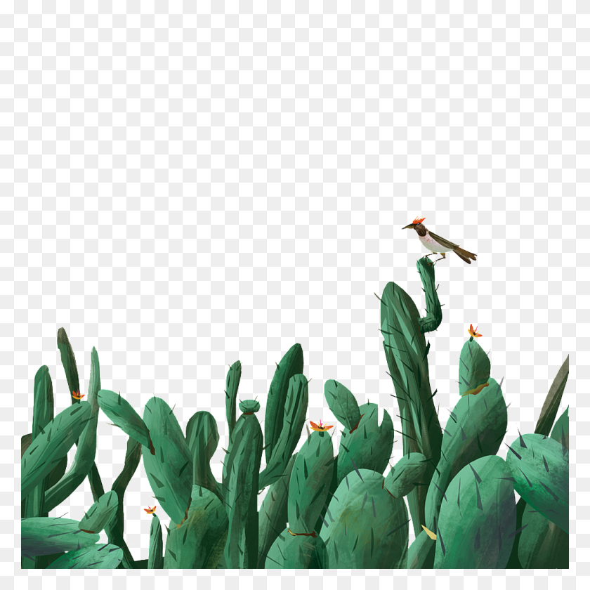 Cactus Transparent Free Png Download Png Vector Watercolor Cactus Png Stunning Free Transparent Png Clipart Images Free Download
