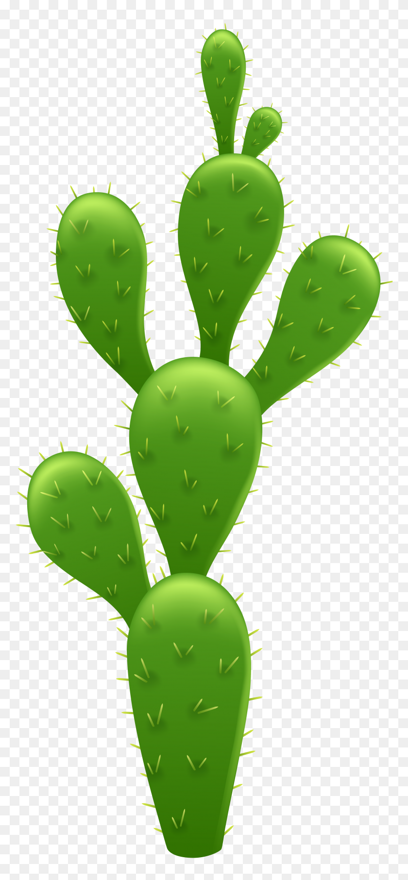 3558x8000 Cactus Transparent Png Clip Art - Pear Tree Clipart