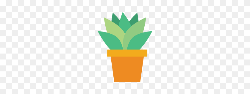 256x256 Cactus Transparent Png Or To Download - Cacti PNG