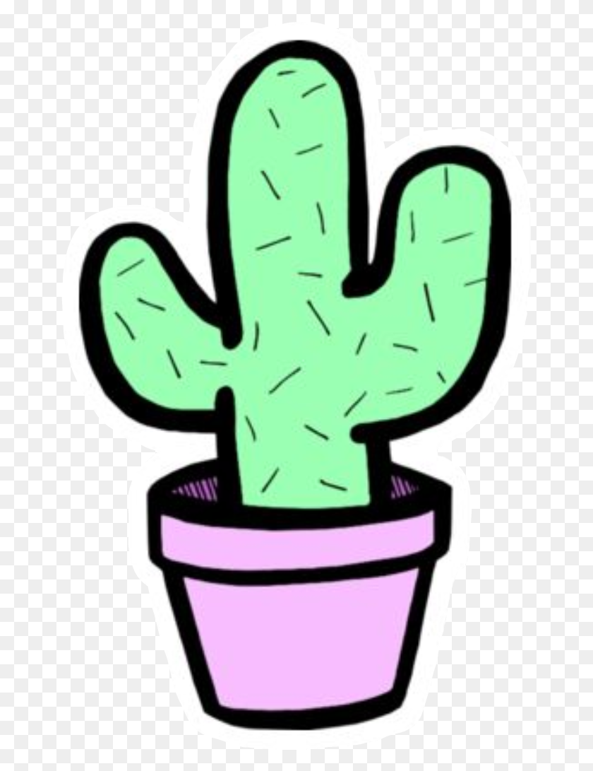 665x1031 Cactus Tumblr Lindo Verde Perfecto Bonito Decoración De Plantas Perfe - Tumblr Cactus Png