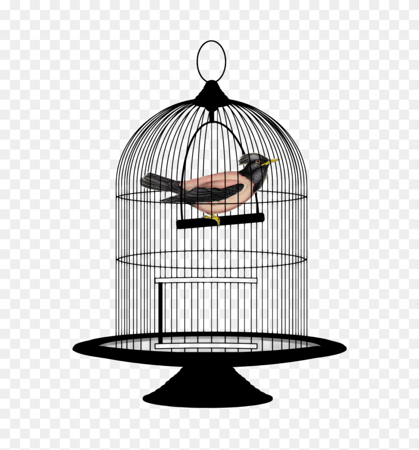 1537x1662 Cage Bird Png Images Free Download - Jailbird Clipart