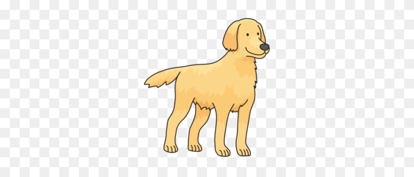 300x300 Calculations, Groups, And Sets Colouring In Tableau - Golden Retriever PNG