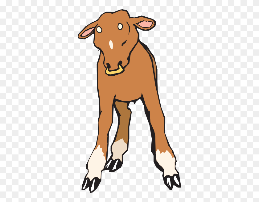 336x594 Calf With Nose Ring Png, Clip Art For Web - Cow Calf Clipart