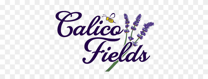 416x259 Calico Fields - Lavanda Png