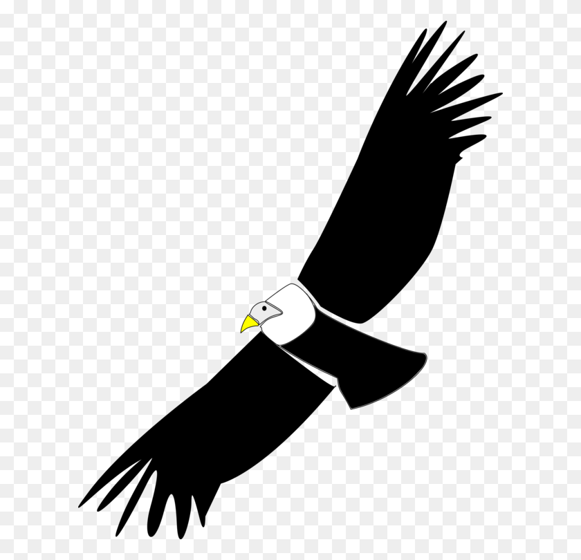 614x750 California Condor Vulture Hawk Download - Red Tailed Hawk Clipart
