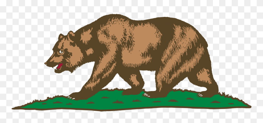 1749x750 Калифорнийский Медведь Гризли Калифорнийский Медведь Гризли Рисовать Бесплатно - Клипарт Медведь