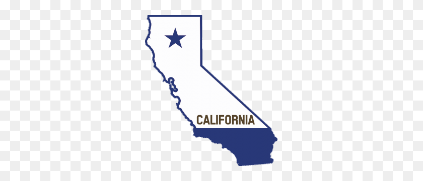 263x300 California Lemon Laws Attorney Patrea Bullock - California Outline PNG