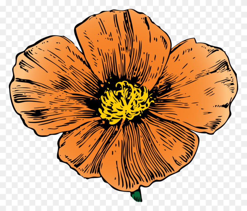 889x750 California Poppy Computer Icons Poppies - Poppy PNG