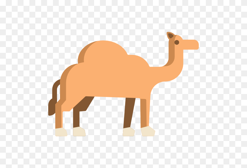 512x512 Camello - Camello Png