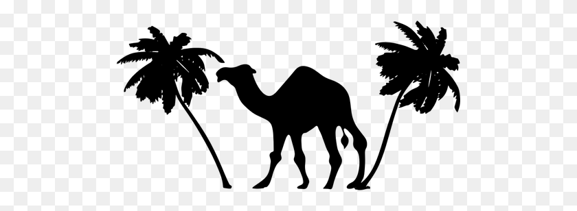 500x248 Camel And Palm Trees - Palm Tree Silhouette PNG