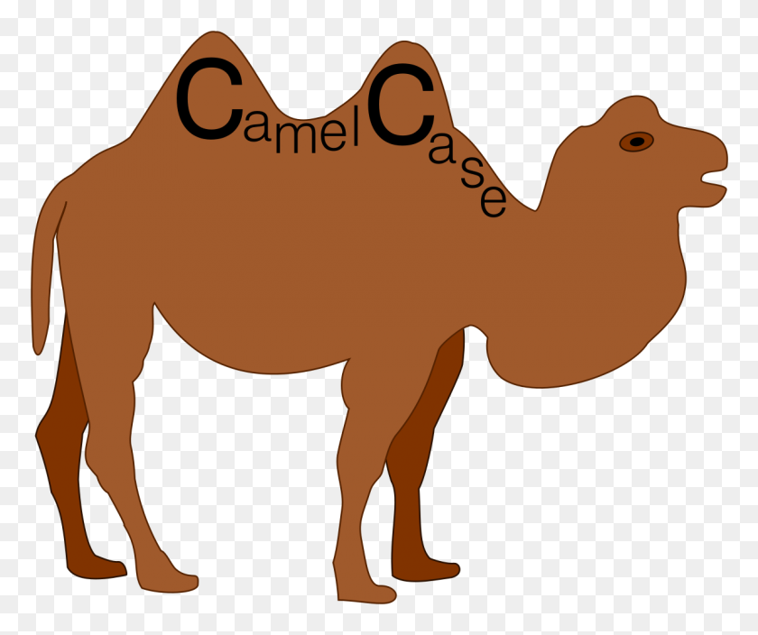 1200x991 Estuche De Camello - Clipart De Camello Del Día De La Joroba