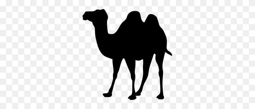 295x300 Imágenes Prediseñadas De Camello Gratis - Imágenes Prediseñadas De Camello Gratis