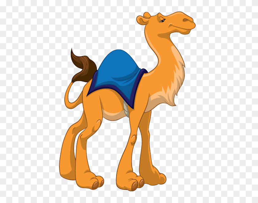600x600 Camel Clipart - Funny Person Clipart