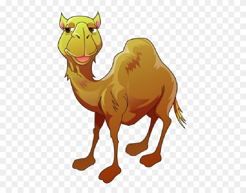 600x600 Camel Clipart - Nomad Clipart